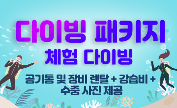 오션투유 다이빙 패키지를 즐겨보세요