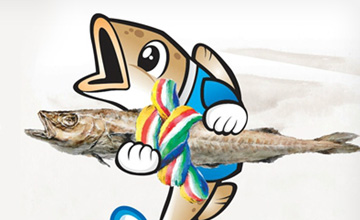 제24회 고성통일명태축제