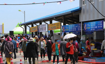 동해안 최북단 저도어장 대문어축제 2019