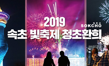 속초 빛축제 청초환희 2019
