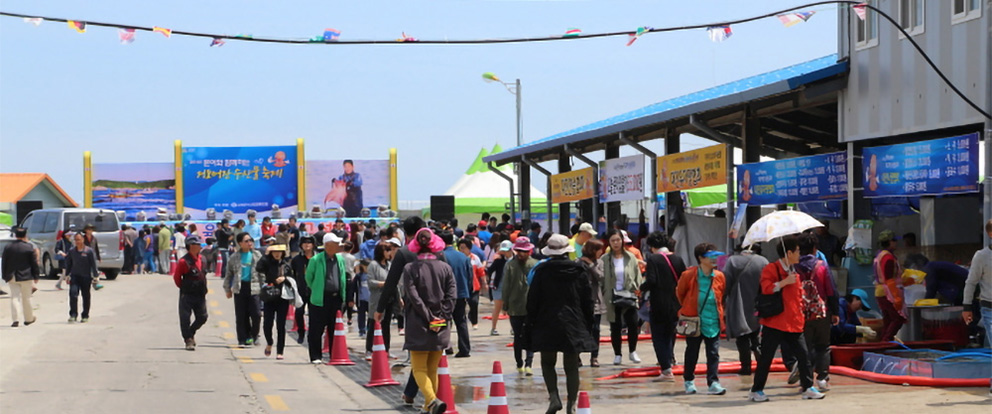 동해안 최북단 저도어장 대문어축제 2019